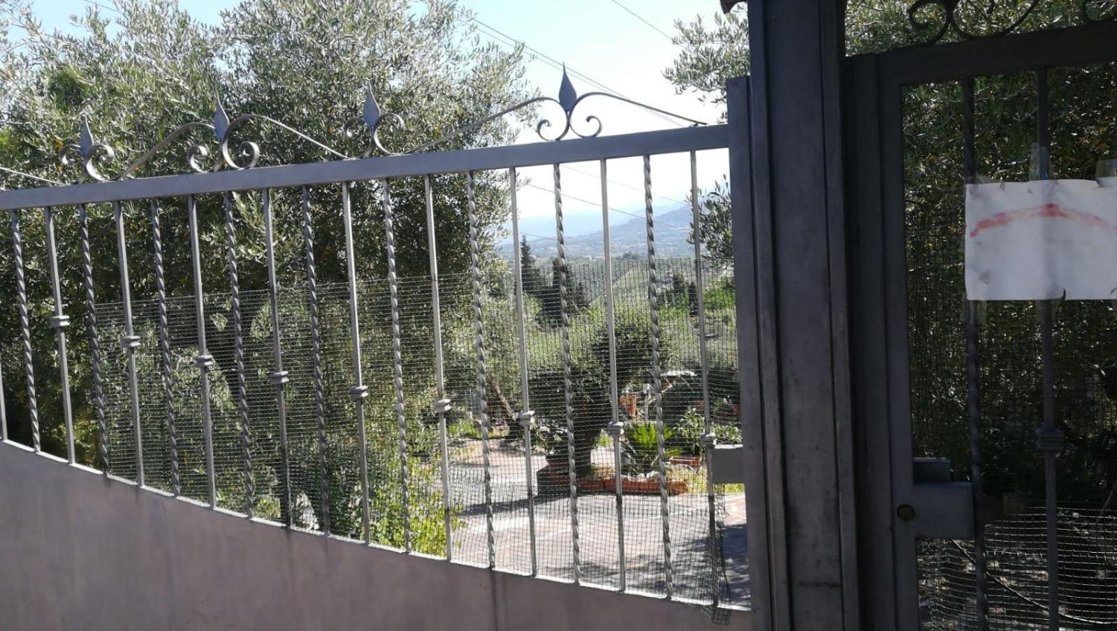 Villa La Casa Tra Gli Ulivi Di Fonte Nuova 2 Mentana Exterior foto